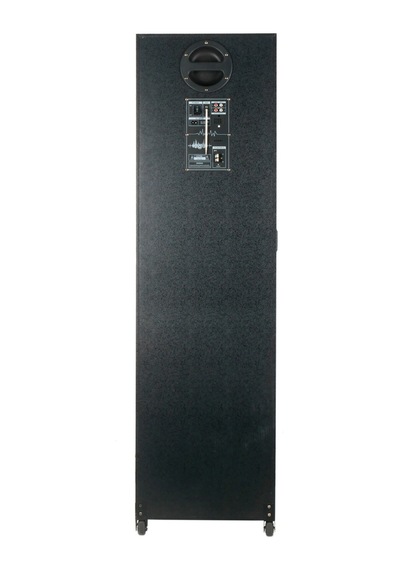 Gd-2126 Dijital Led Göstergeli Fm Radyolu Mikrofonlu Rgb Tws Çift 12 İnç Stereo Bass Kablosuz Karaoke Hoparlör