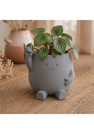 Alvera Smiley Face Planter 3d Baskı Gülümseyen Karakterli Saksı-gri
