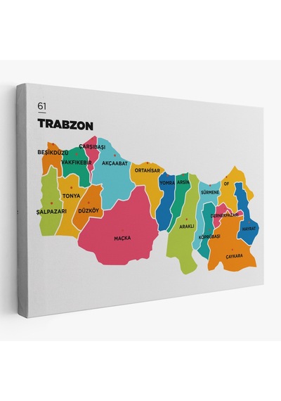 Trabzon İli Ve İlçeler Haritası Dekoratif Kanvas Tablo 1469 95 X 55
