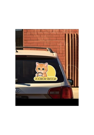 Sevimli Kedi Temalı Renkli Araba Etiketi Ve Sticker Seti Abanoz