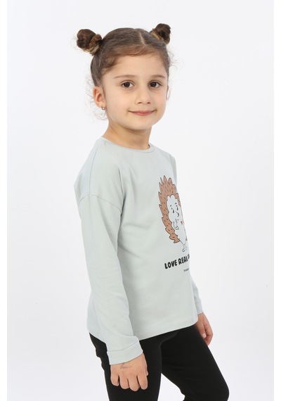 Toontoy Kids Toontoy Kız Çocuk Kirpi Baskılı Tişört Yeşil