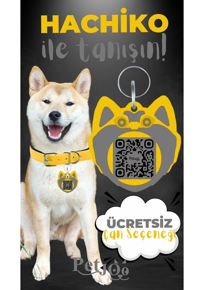 Petjoo 19.Hachiko Gri-Sarı Qr'lı Köpek Künyesi