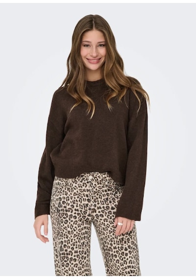 Only Kadın Onlsımonı L/s O-neck Kazak - 15368976 Kahverengi