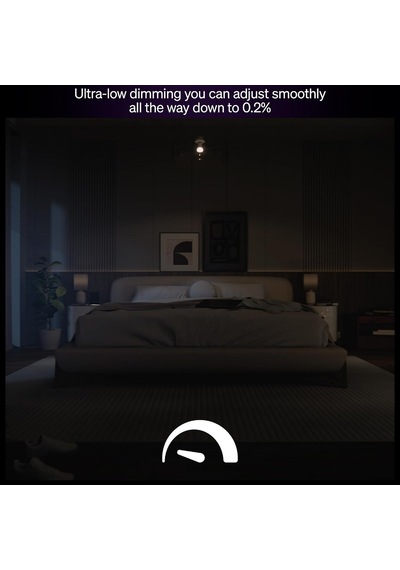 Ayrex Philips Hue Led A67 Lamba, Beyaz Ve Renkli Ambiyans, E27 Duy, 11,8 W, Tam Spektrumlu Işık 1000 K-20000 K, 1600 Genel