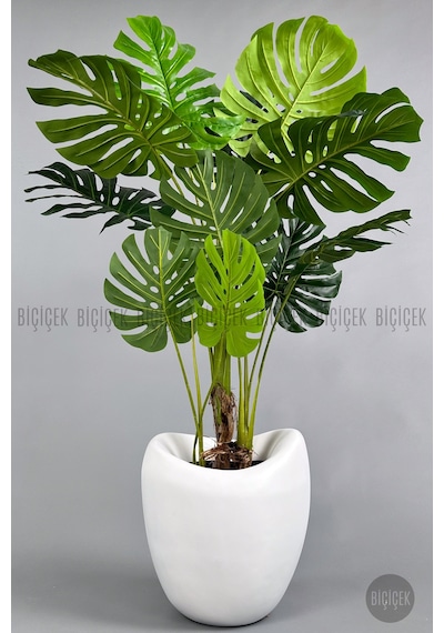 Yapay Monstera Ağacı Deve Tabani 170 Cm Beyaz Lale Saksıda