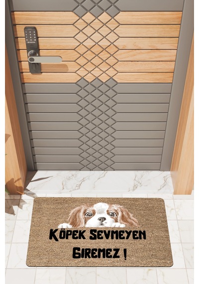 Rugmood Modern Dijtal Baskı Köpek Sevmeyen Giremez3 Kapı Önü Paspası Çok Renkli