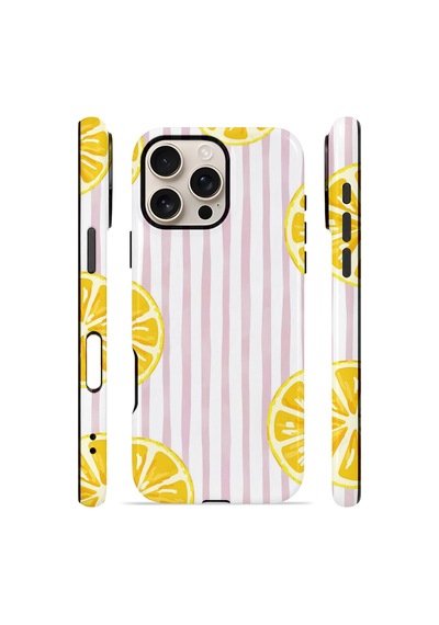 Apple iPhone Uyumlu 16 Pro Vorian Çift Katmanlı Kılıf Pink Lemon Window