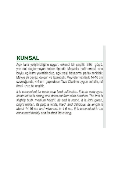AGRodal Tarım Ata Tohumu Yerli Topak Dolma Kabak 20 Adet Tohum