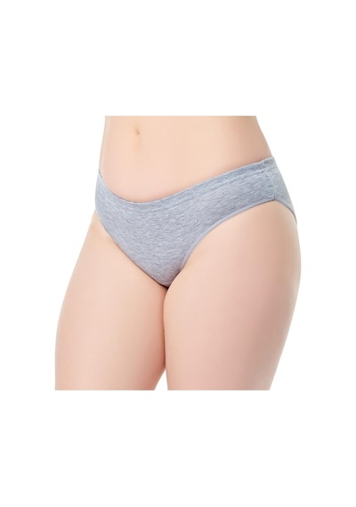 12 Li Paket Tutku Bayan Düz Bikini Külot Gri