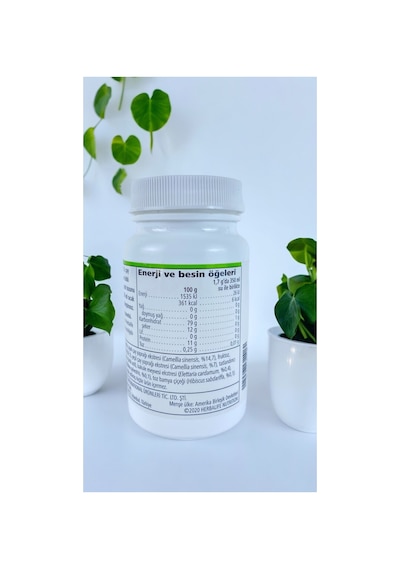 Herbalife Bitkisel Şeftali Aromalı 51 Gr Çay 2 Adet