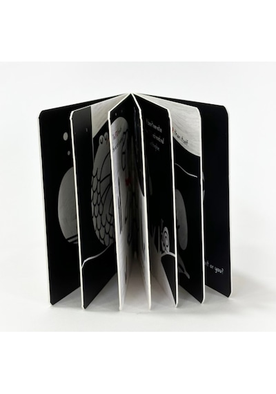 Sincap Kitap Big Small - Baby University First Concepts Stories