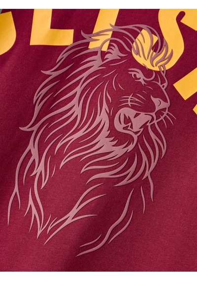 Gsstore Galatasaray Erkek T-shirt E261085 Bordo