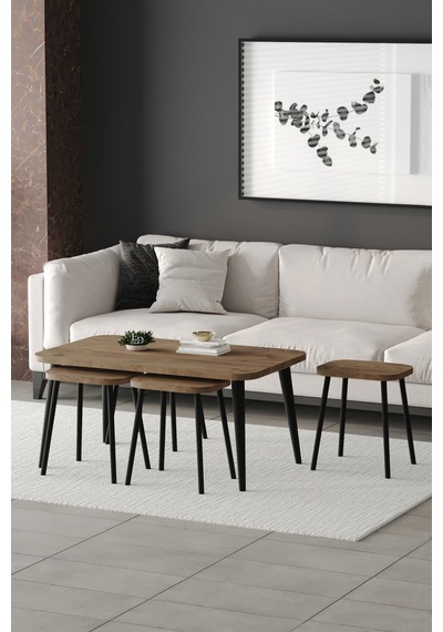 Roma Orta Sehpa Metal Ayaklı , 4+1 Orta Sehpa , 100 X 60 X 50 Cm Siyah Metal Atlantik Çam Roma Orta Sehpa Metal Ayaklı , 4+1 Orta Sehpa , 100 X 60 X 50 Cm Siyah Metal Atlantik Çam