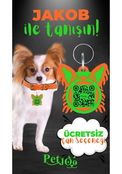 Petjoo 8.Jakob Yeşil-Turuncu Qr'lı Köpek Künyesi