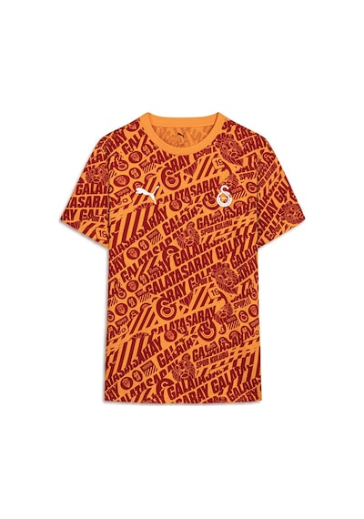 Galatasaray Lisanslı Puma Culture T-shirt Aslan Ahşap Kutulu 78291706 Kırmızı