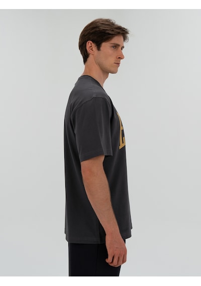 Everlast Ever Classics Comfort Logo Gri Erkek Tişört Gri