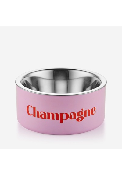 Pembe Demir Çelik Champagne Mama Kabı 20x9x20 Cm