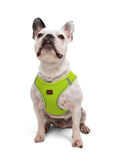 Tailpetz Air-mesh Küçük Ve Orta Irk Kedi Köpek Göğüs Tasması - Yumuşak, Nefes Alabilir, Dayanıklı Neon-sarı, Large Sku: Zeusb0829chnyj Açık Bej - Bej