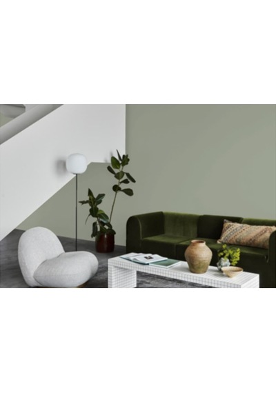 Jotun Antique Green 7629 Fenomastic Güzel Evim Serisi Zengin Mat