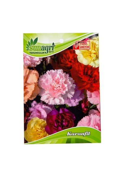 Karanfil Çiçeği Tohumu-3324