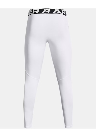 Under Armour Ua Cg Armour Leggings Erkek Tayt 1366075 1366075 100
