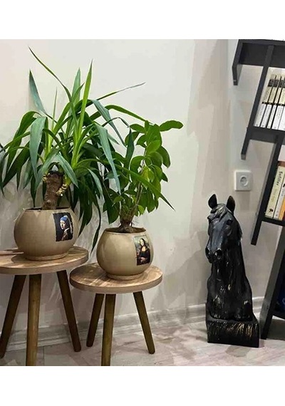 2'li Ahşap Ayaklı Çiçeklik Saksılık Standı 24 Cm Çap Atlantik Çam