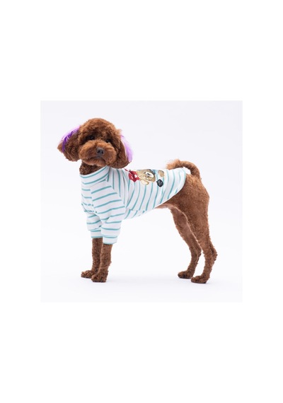 Yeşil Bear With Me Baskılı Triko Sweat Kedi Köpek Sweat Kedi Köpek Kıyafeti
