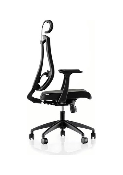 Ergonomik Fileli Yönetici Koltuğu Çok Renkli Ergonomik Fileli Yönetici Koltuğu Çok Renkli