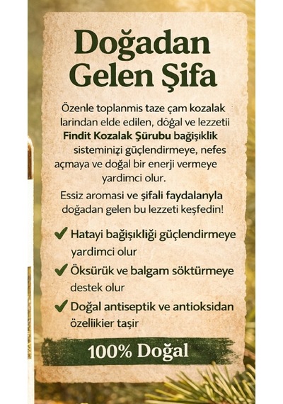 Findit Yeni Kozalak Şurubu - Doğal Bitkisel Destek 250 Ml