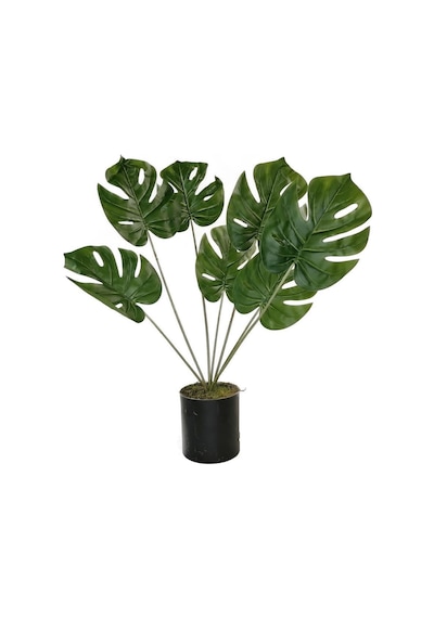 Yapay Çiçek Monstera Deve Tabanı Siyah Saksılı Salon Çiçeği 7 Yap