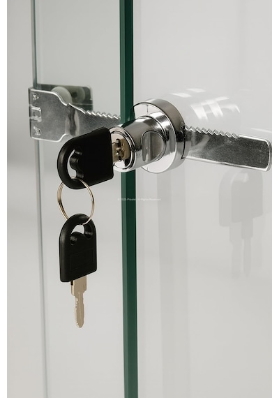 Proalet Sürgülü Cam Kilidi, 140 Mm, Zamak Gövde, Krom Kaplama, 3-6 Mm Kalın Cam Kapak İçin, 2 Yedek Anahtarlı, Güvenlik Kilidi, Cam Dolap, Vitrin, Sürgü Kapak Uyumlu, Kolay Montaj