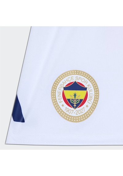 Adidas Fenerbahçe 26/27 İç Saha Minikit Çocuk Forma Çok Renkli