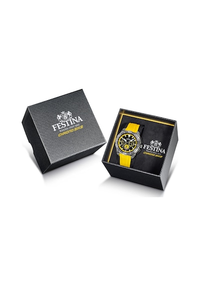 Festına F20725/1 Chrono Bıke Erkek Kol Saati Gri