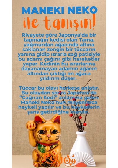 Petjoo 4.Maneki Neko Turuncu-Mavi Qr'lı Kedi Künyesi