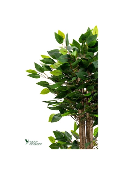 Yapay Çiçekçiniz 2 Adet Gri Saksıda Çim Detaylı 100 Cm Yapay Benjamin Ve Yapay Bambu Ağacı