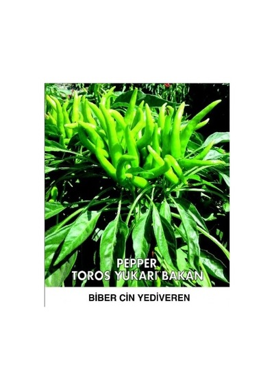 Evdeki Bahçem – Biber Tohumu – Yukarı Bakan Süs