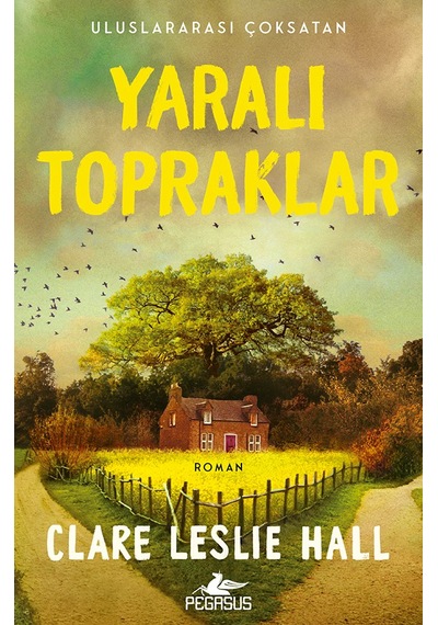 Yaralı Topraklar Clare Leslie Hall / Pegasus Yayınları