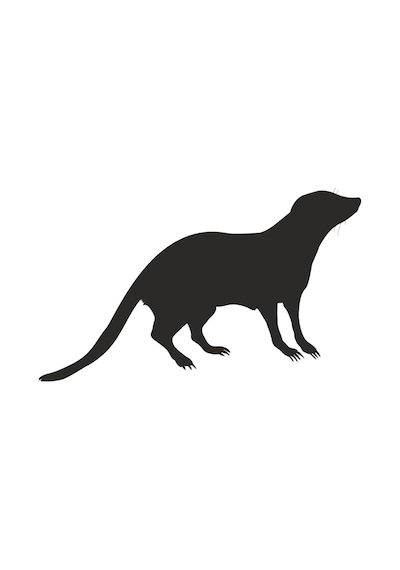 Sansar Folyo Sticker 200cm Uzunluk Siyah