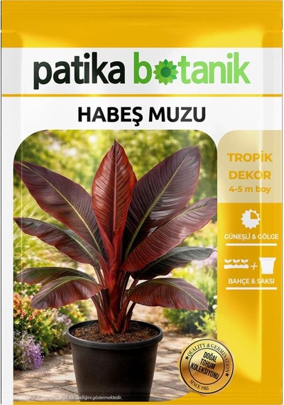 5 Adet Habeş Muzu Çiçek Tohumu (Ensete Ventricosa)