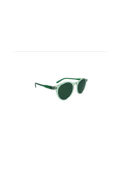 For Exchange Mod.1064 C.192 Şeffaf -yeşil Unisex Güneş Gözlüğü Şeffaf