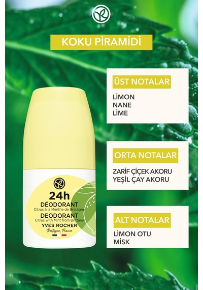 Yves Rocher Ter Kokusu Önleyici 24 Saat Etkili Kadın-erkek Roll-on Deodorant- Organik Nane&limon-57136 50 Ml