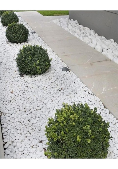Asenya Dolomit Taş 50 Kg 2-4 Cm Beyaz Dolomit Taş Saksı Dibi Dekoratif Taş Bahçe Süsleme Taşı Peyzaj Taşı