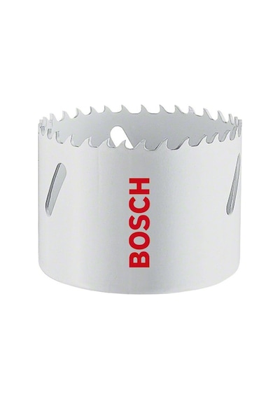 Bosch Hss Bi-metal Panç 98 Mm