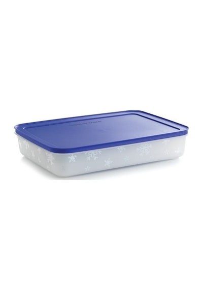 Tupperware Alaska 225 L Buzluk Saklama Kabı Asn N1140663