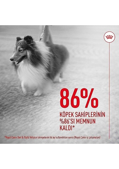 Royal Canin Skin & Coat Chews Deri Ve Tüy Sağlığını Destekleyen Yetişkin Köpek Ödül Maması 240gr