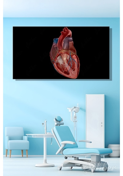 İnsan Kalbinin Anatomik Yapısını Gösteren Detaylı Bir Tıbbi Renkli Çizim Yatay Kanvas Tablo Tekli 3542