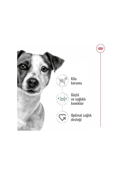 Mini Adult Köpek Maması 2 Kg + 2 Adet Yaş Mama Hediye