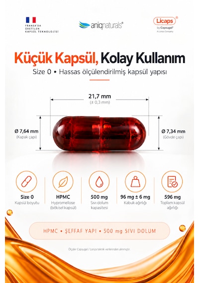 Opti-curcumin 60 Licaps