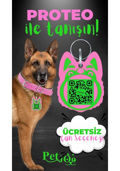 Petjoo 24.Proteo Yeşil-Pembe Qr'lı Köpek Künyesi