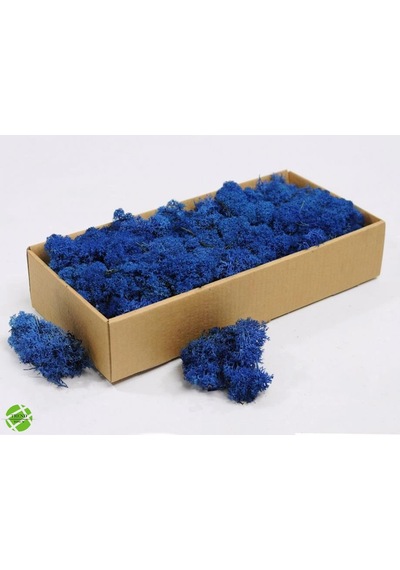 Reindeer Moss Mavi Şoklanmış Norveç Yosunu 500gr